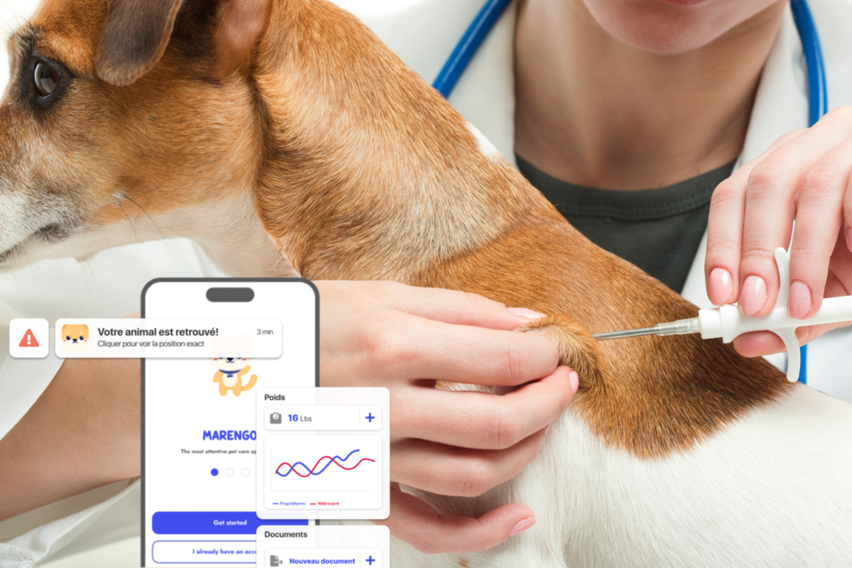 Médaille à GPS passif